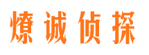 盐池背景调查